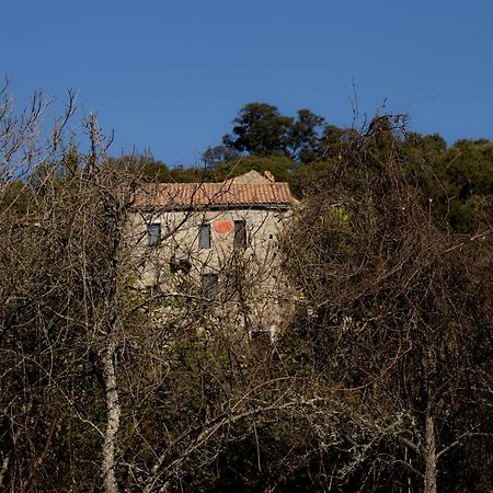 Casa Giacometti Grosseto-Prugna Exterior foto