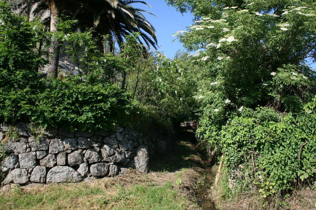 Casa Giacometti Grosseto-Prugna Zimmer foto